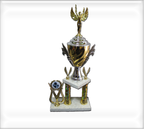 trofeos-plastico2240
