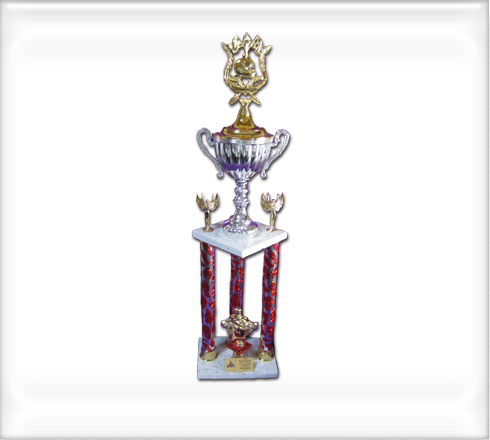 trofeos-plastico2340b