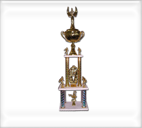 trofeos-plastico2640