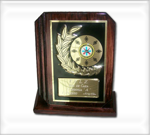premios-art7