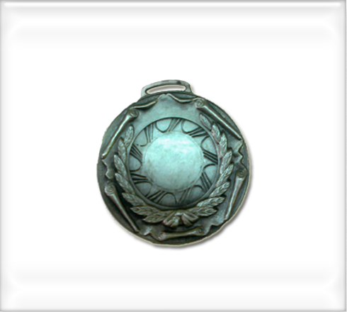 medallas-llav&pins-art1
