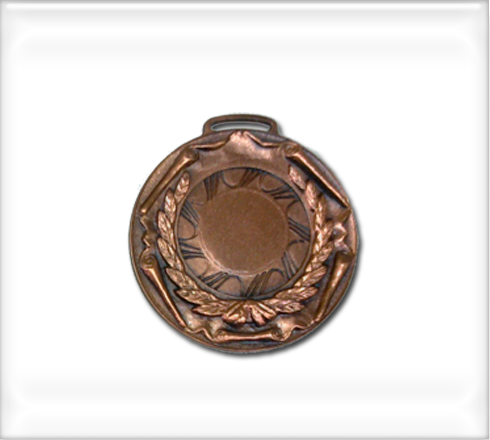 medallas-llav&pins-art1b